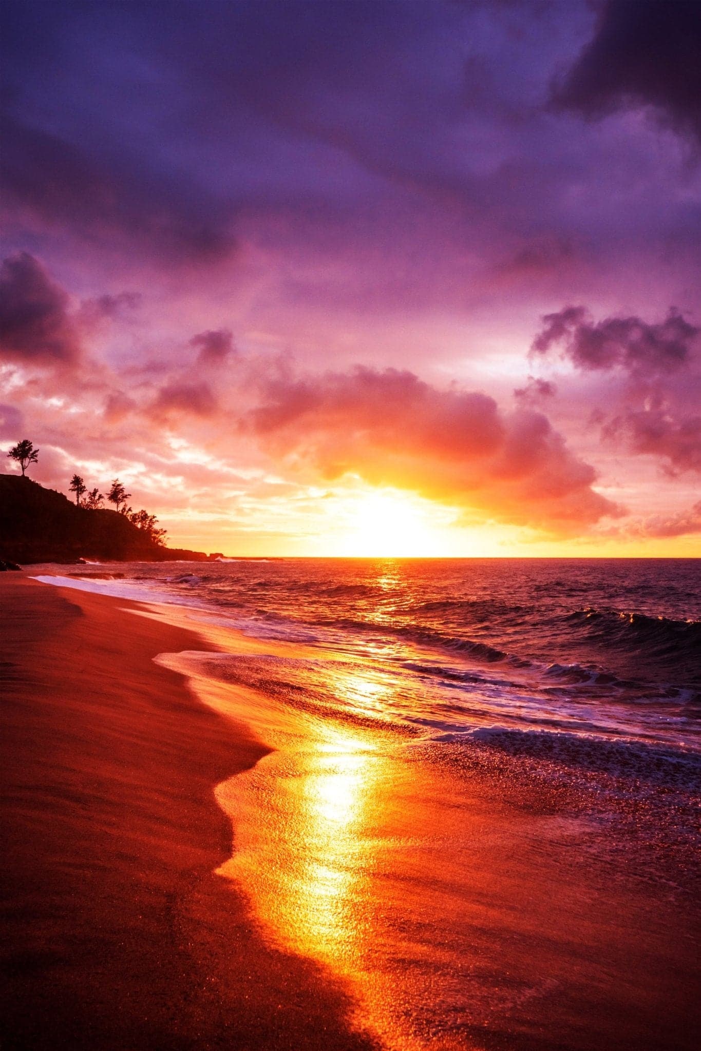 Beach ‘Picture Perfect’ Poster - Posters Plug