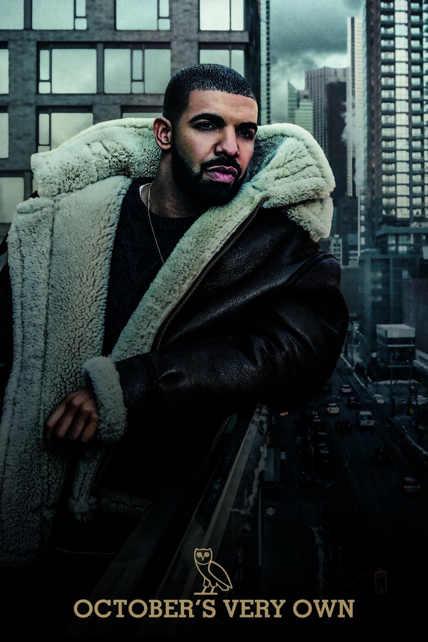 Drake Ovo Poster