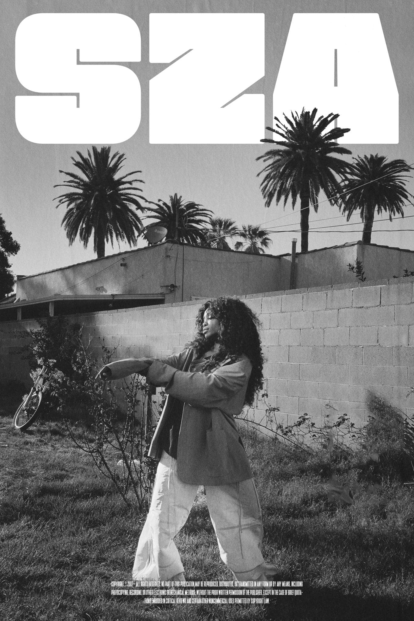 SZA 'CTRL' Hollywood Poster - Posters Plug